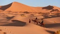 Camel ride over the sand dunes of the Sahara