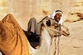 Camel ride Royalty Free Stock Photo