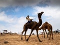 Camel ride during pushkar camel festival rajasthan