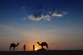 Camel ride at Thar desert, Rajasthan, India Royalty Free Stock Photo
