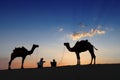 Camel ride at Thar desert, Rajasthan, India Royalty Free Stock Photo