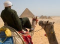 Camel rider Royalty Free Stock Photo