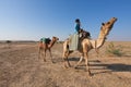 Camel rider Royalty Free Stock Photo