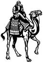 Camel rider black white Royalty Free Stock Photo