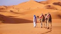 Camel rider with camels travelling over dunes in the desert Royalty Free Stock Photo