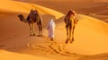Camel rider with camels travelling over dunes in the desert Royalty Free Stock Photo