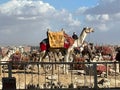 camel rider offers tours with his camel to tourists at the pyramides of Gizeh in Cairo