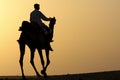 Camel rider silhouette Royalty Free Stock Photo