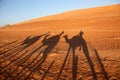 Shadows of camels on the red desert sands of Oman Royalty Free Stock Photo