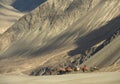 Camel rides in Hunder dunes of Nubra Valley