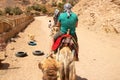 camel riding in Africa in Egypt in the desert, camels