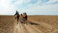 Camel riding as a caravan in desert