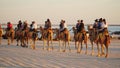 Camel riding at Cable Beach near Broome, Western Australia. Royalty Free Stock Photo