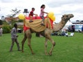 Camel riding for entertainment in Nairobi Kenya