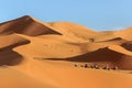 Camel riding on sand in desert
