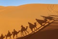 Camel shadow on sand in desert Royalty Free Stock Photo