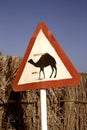 Camel road sign