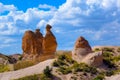 Camel rock Royalty Free Stock Photo