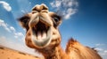 Close-up Shot Of Smiling Camel With Lensbaby Optics