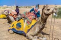 Camels covered in colorful Indian patchwork garb in the dessert