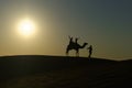Camel safari in the desert