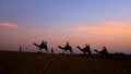 Camel safari at Sam sand dunes in Thar desert, Rajasthan Royalty Free Stock Photo