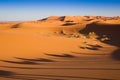 Camel safari on west sahara desert Royalty Free Stock Photo