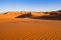 Camel safari on west sahara desert Royalty Free Stock Photo