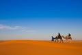 Camel safari on west sahara desert Royalty Free Stock Photo