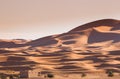 Camel safari on west sahara desert