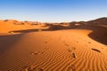 Camel safari on west sahara desert Royalty Free Stock Photo