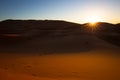 Camel safari on west sahara desert Royalty Free Stock Photo