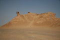 Camel Sand Sculpture