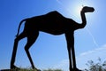 Camel sculpture, Anza Borrego Desert State Park, California
