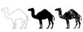 Camel set black white grunge Royalty Free Stock Photo