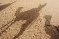 Camel shadow on the sand dune in Sahara Desert Royalty Free Stock Photo