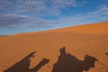 Camel shadow on the sand dune in Sahara Desert Royalty Free Stock Photo