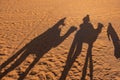 Camel shadow on the sand dune in Sahara Desert Royalty Free Stock Photo