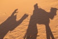 Camel shadow on the sand dune in Sahara Desert Royalty Free Stock Photo