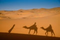 Camel shadows on Sahara Desert sand in Morocco.