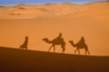 Camel shadows on Sahara Desert sand in Morocco. Royalty Free Stock Photo