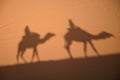 Camel shadows on Sahara Desert sand in Morocco. Royalty Free Stock Photo