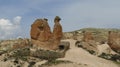 Camel Rock Formation in Devrent, Imaginary Valley, Cappadocia Royalty Free Stock Photo