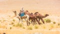 Camel Shepherd