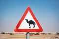 Camel sign in the desert of israel. empty road Royalty Free Stock Photo