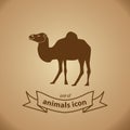 Camel sign. Camel isolated simple icon