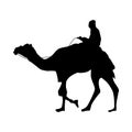 Camel silhouette black Royalty Free Stock Photo
