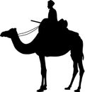 Camel silhouette