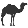 Camel vector eps silhouette Hand drawn Crafteroks svg free, free svg file, eps, dxf, vector, logo, silhouette, icon, instant downl Royalty Free Stock Photo