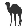 Camel vector eps silhouette Hand drawn Crafteroks svg free, free svg file, eps, dxf, vector, logo, silhouette, icon, instant downl Royalty Free Stock Photo